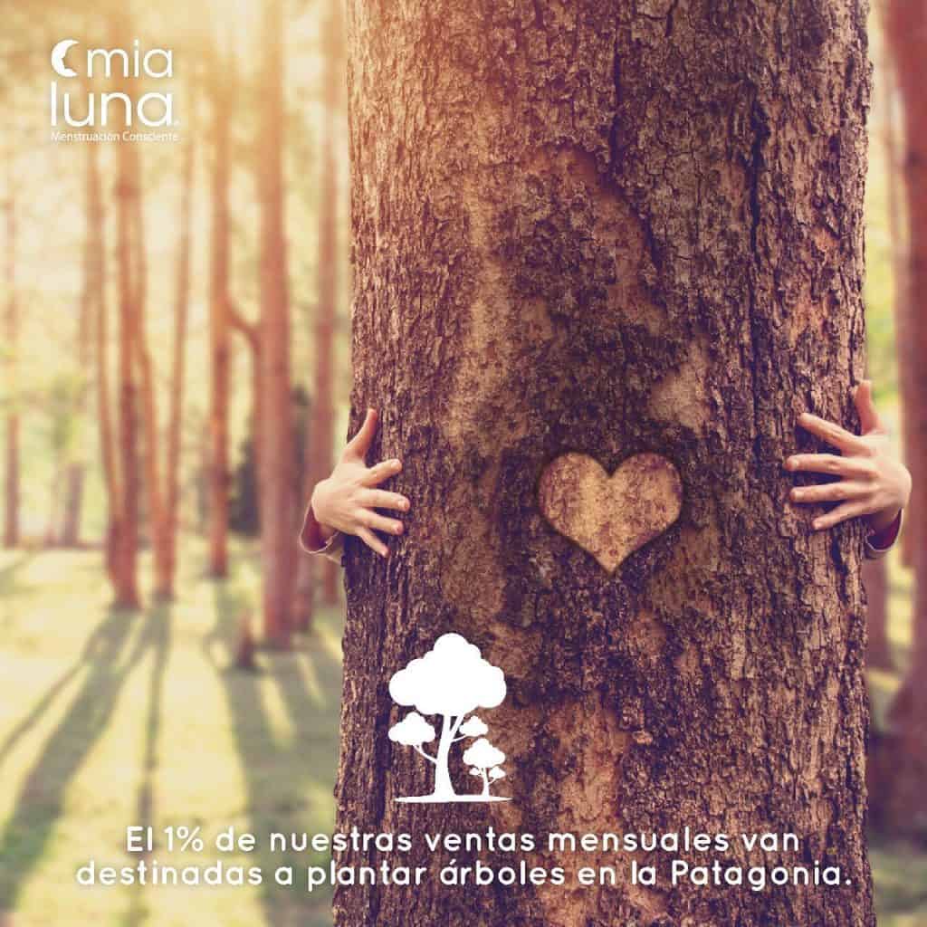 reforestemos1