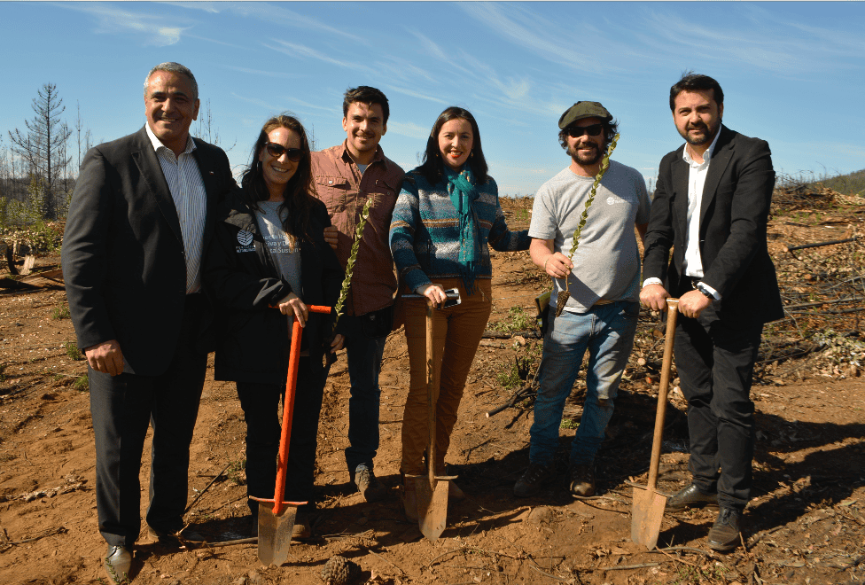 captura-de-pantalla-2018-06-11-a-las-12.46.42-p.m.