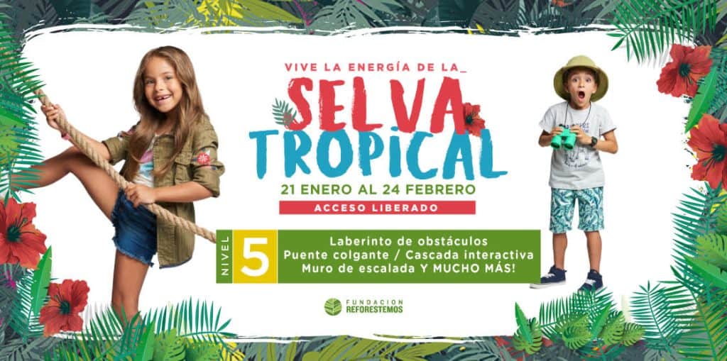 txaciwdnstjf2housxgo