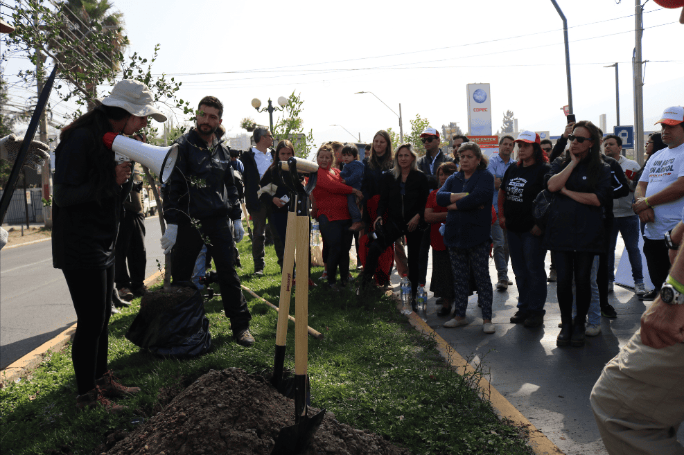 captura-de-pantalla-2019-04-11-a-las-5.19.33-p.m.