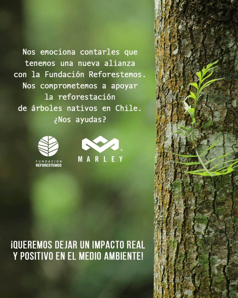 cont-vertical-oct-16-oct-1-1