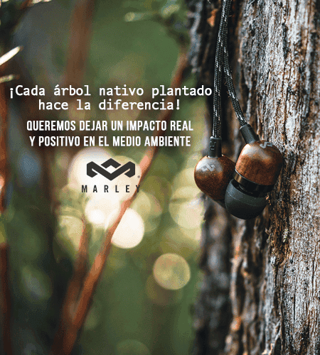 grafica-bosque-digital-mobil-1-1