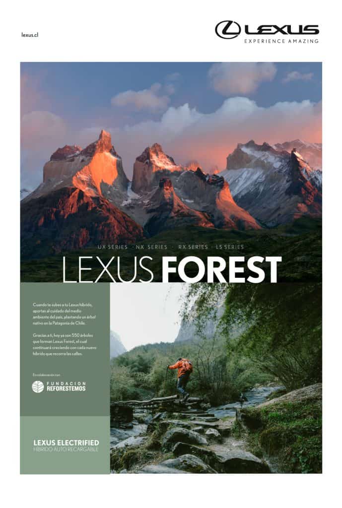 lexus-forest-prensa-1