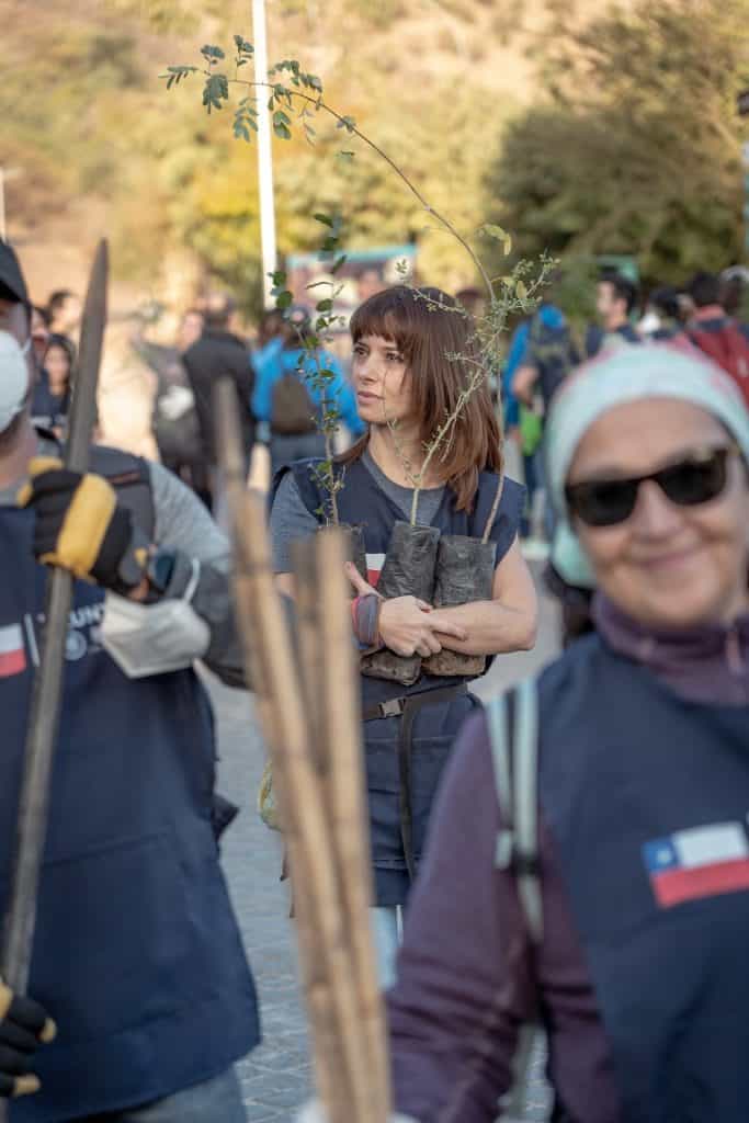 banco-de-chile-parquemet-18