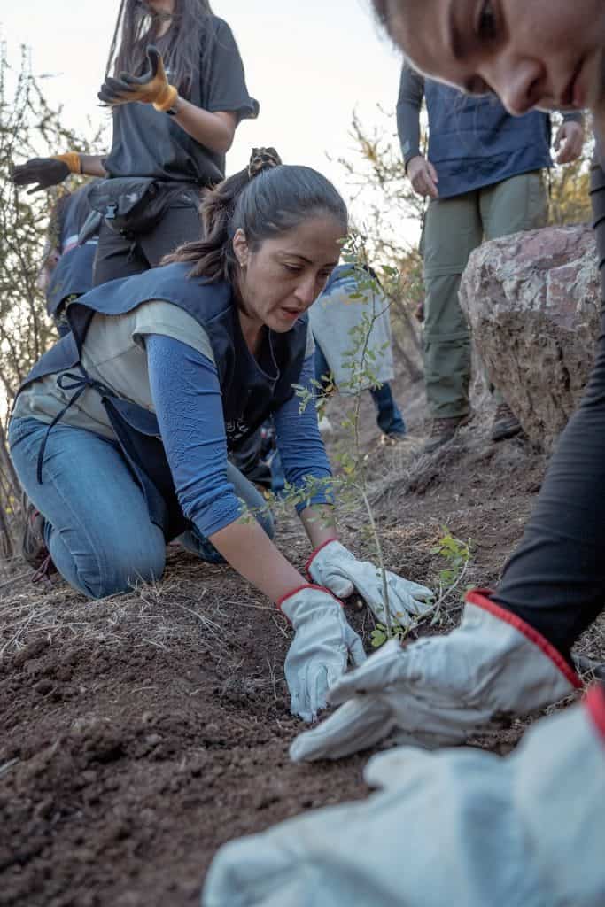 banco-de-chile-parquemet-23