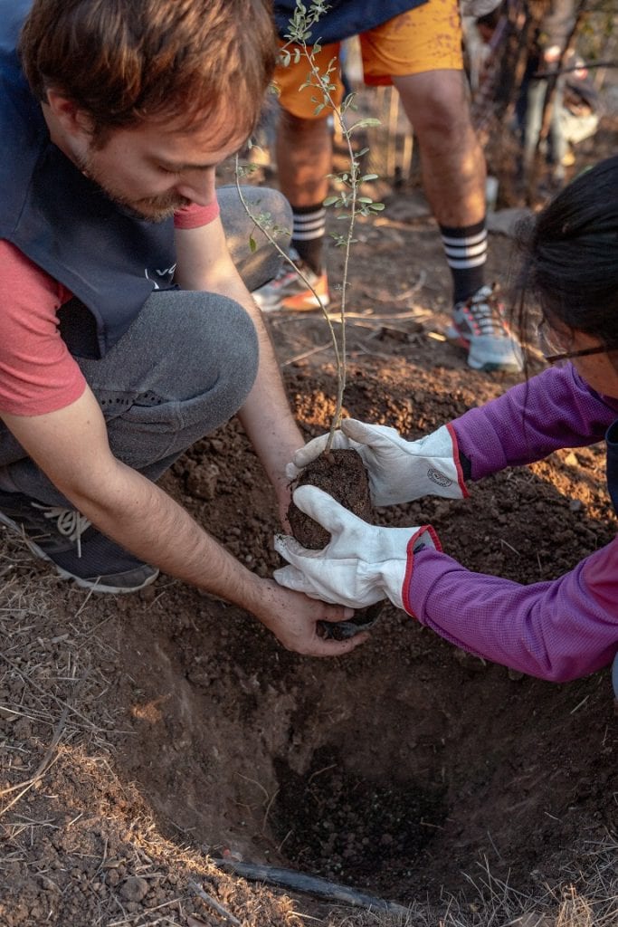 banco-de-chile-parquemet-29-1