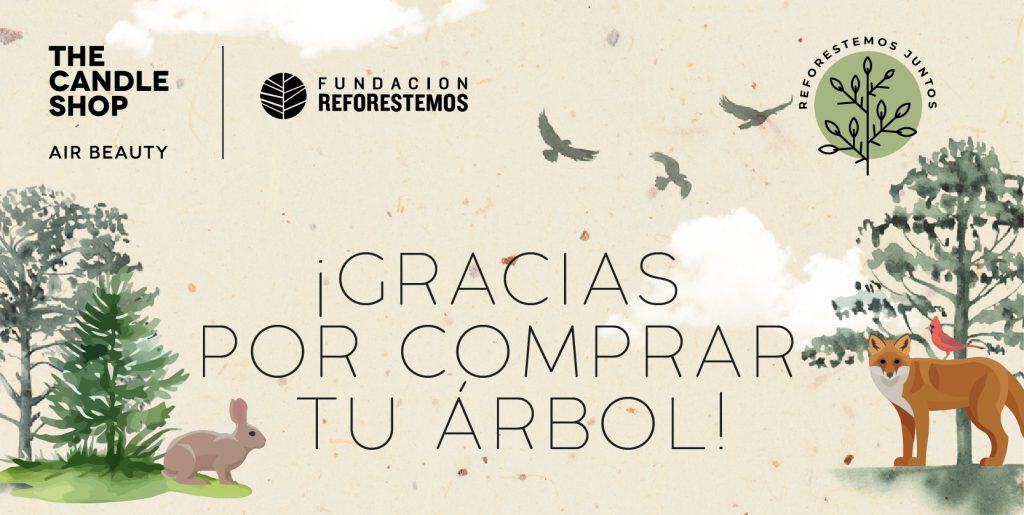 reforestemos-juntos-chile-head-mailing-copia