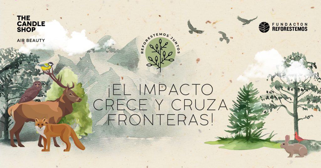 reforestemos-juntos-chile-linkedin-copia