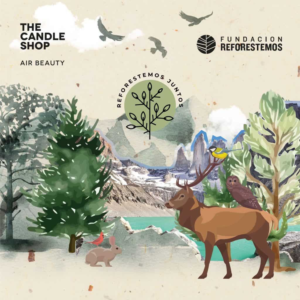 reforestemos-juntos-chile-posteoig-copia