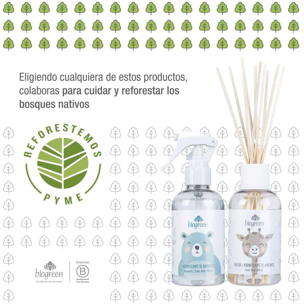 Reforestemos - Biogreen y su caso de empresa