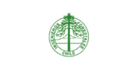 Ingenieros forestales chile