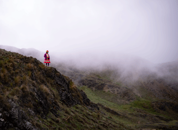 Paisaje reforestación Perú - Fundación reforestemos