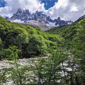 2014-05 Informe Reserva Nacional Cerro Castillo Reforestación