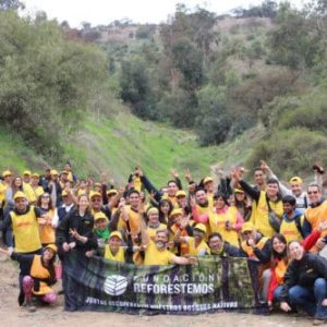 Ficha técnica Voluntariado DHL Parque Metropolitano